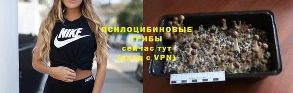 эйфоретик Армянск