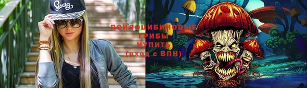 каннабис Арсеньев